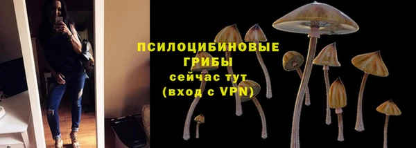 тгк Аркадак