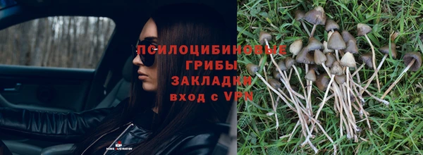 бутират Армянск