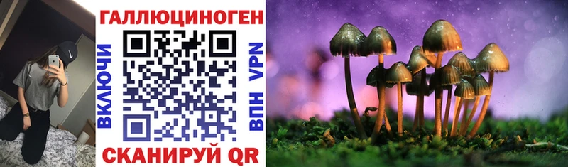 Псилоцибиновые грибы мухоморы  Купить закладки  Нижняя Тура 
